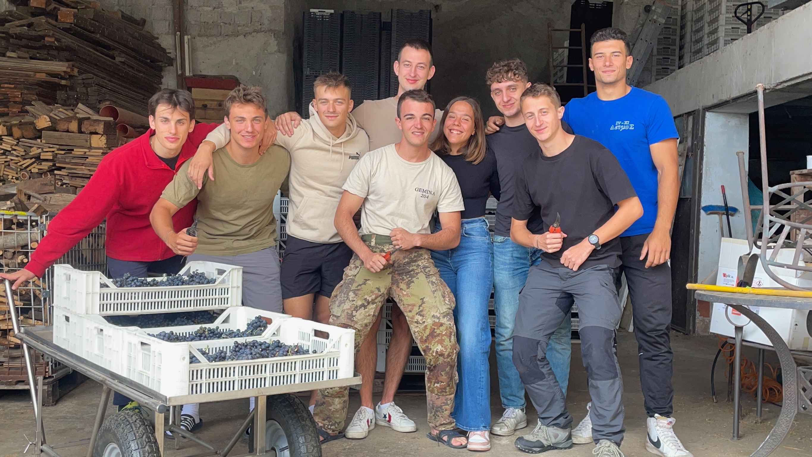 Vendemmia 2019 Astreo, panorama sui filari al tramonto