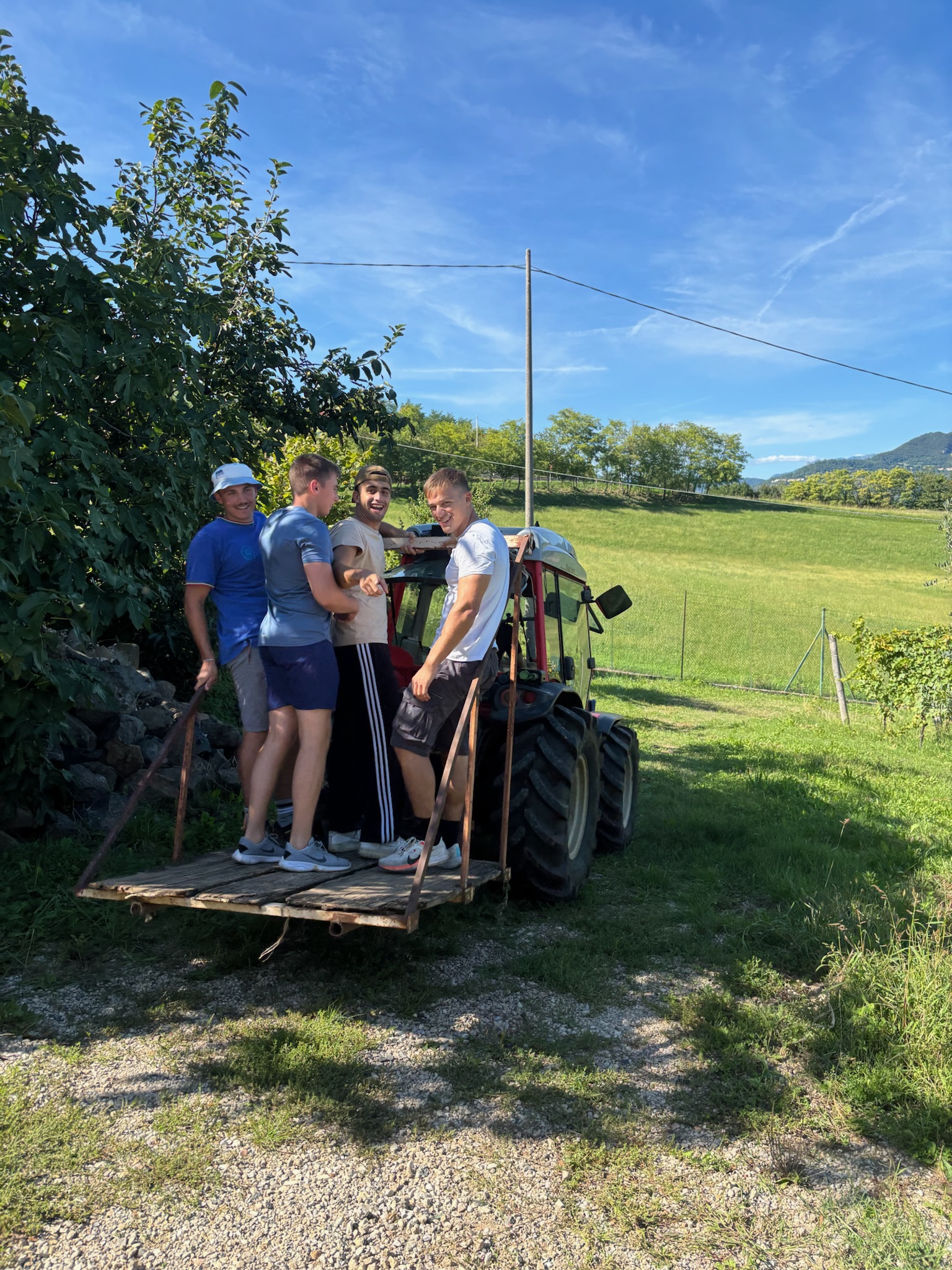 Vendemmia 2020 Astreo, condivisione nei filari