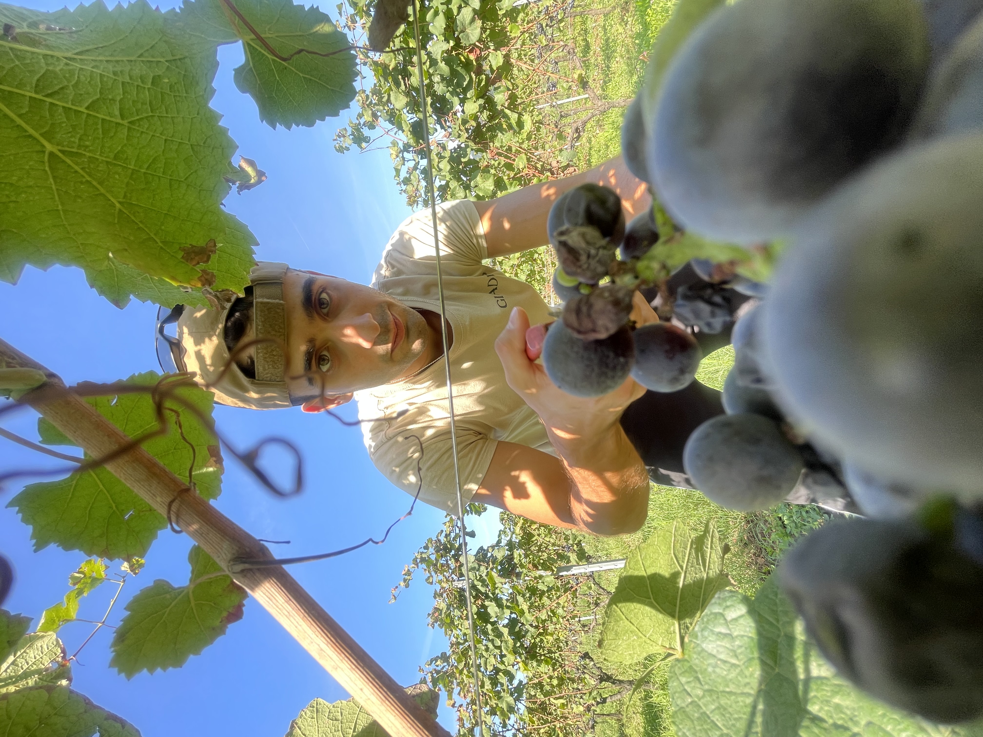 Vendemmia 2020 Astreo, momento di pausa e sorrisi