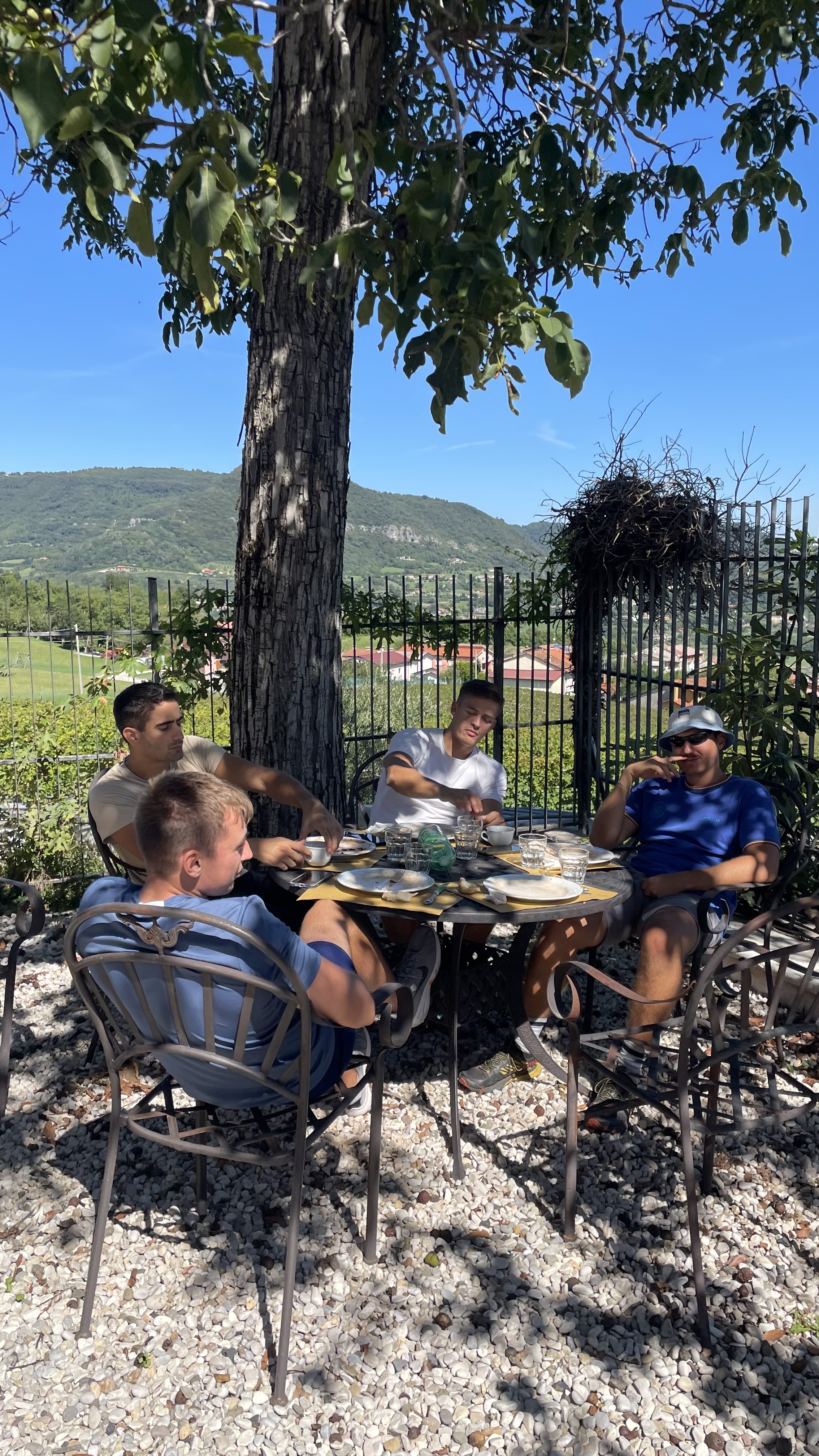Vendemmia 2025 Astreo, dettagli delle uve in cantina